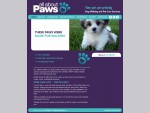 All About Paws - Dog Walking and Pet Care Services