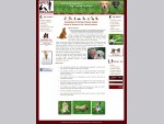 Association of Pet Dog Trainers (APDT) Ireland