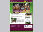 Margaret Jeffares | Des Jeffares | Irish Sport Horses | Event Horses | For Sale | Ireland |