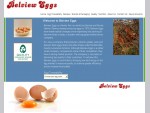 Belview Eggs, Egg supplier, Egg Packer, Free Range Eggs, Dublin, Leinster, Ireland.