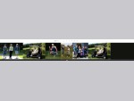 High quality exclusive ladies golf and sportswear. - Bluegreen. ie