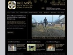 Saint Bernard Show Kennels - Exhibitors and breeders of quality Saint Bernard dogs