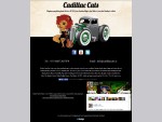 Cadillac Cats | 4 Piece Live Band Cork | Wedding Band Cork