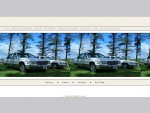 Cadillac Weddings Website