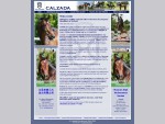Calzada | 1993 Bay Holsteiner Stallion