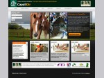 Horse Sport Ireland CapallOir