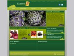 Caterway Homepage