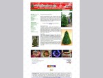 Irish Christmas Trees Website