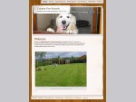 Country View Boarding Kennels and Dog Grooming Parlour