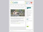 Cuidiu 8211; South West Dublin | Carin Support for Parenthood