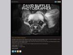 David Ruffles Professional Photographer, Galway, Dave Ruffles photography, photo journalist, wed