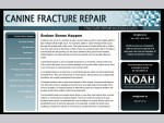 FRACTURE REPAIR IN DOGS AND CATS .. Canine and Feline Fracture Treatment