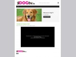DogTV. ie - Dogs for Adoption