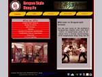 Kung Fu - Chinese Boxing - Dublin