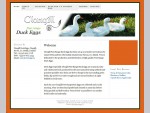 Duck Eggs — Clongill duckeggs