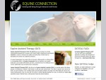 Equine Psychotherapy, Equine Assisted Therapy (EAT), Equine Assisted Psychotherapy (EAP) and Equin