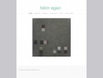 Felim Egan Online copy;