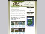 Paul Lafferty Forestry Sales