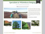 Specialists in Whitethorn Hedging | 100 Irish Grown Hardy White Thorn for Shelter and Stockproof .