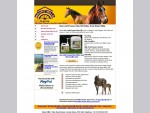 Horse Flax Oil for Horses Ireland, Buy Cold Pressed Flax Oil for horses based in Ireland, Horsefla