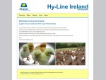 Hy-line Ireland Suppliers of Hy-Line Chicks Point of Lay Pullets for Ireland