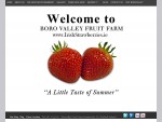 Borovalley Fruit Farm Home | Wexford Strawberries | IrishStrawberries. ie