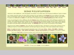Irish Wildflowers - Index page