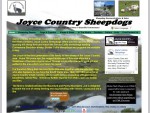 Sheepdogs, Border Collie Breeders, Collie Sheepdogs Ireland, Joyce Country Sheepdogs, County Gal