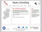 Welcome to Keyes Consulting Ltd