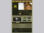 Leisure Horse Ireland Homepage
