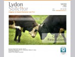Lydon Solicitor