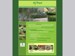 MyPlant - Irish grown garden, patio, balcony, container and foliage plants for easy gardening.
