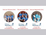 Carton Clinic Maynooth, Lucan Vets, Tallaght Vets, Vet Clinics Lucan, Vet Clinics Tallaght, Her