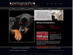 Pet photography Ireland with professional pet photos taken in your home