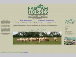 Proam Horses Homepage