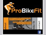 pro bike fit