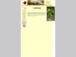 Rachel's Vineyard - Home Page