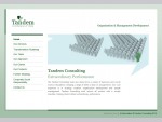 Tandem Consulting | Homepage