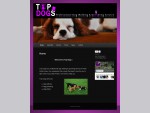 TopDogs | Professional dog walking grooming service