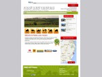 Tractors for Sale in Ireland | Paddy Lacey for used tractors Machinery