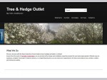 What We Do - Tree OutletTree Hedge Outlet | Big Trees, Small Money!