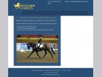 Western Stables | Connemara Ponies Galway | Pony Breeding Galway | Riding School Galway