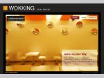 Wokking Chinese Fast Food in Limerick